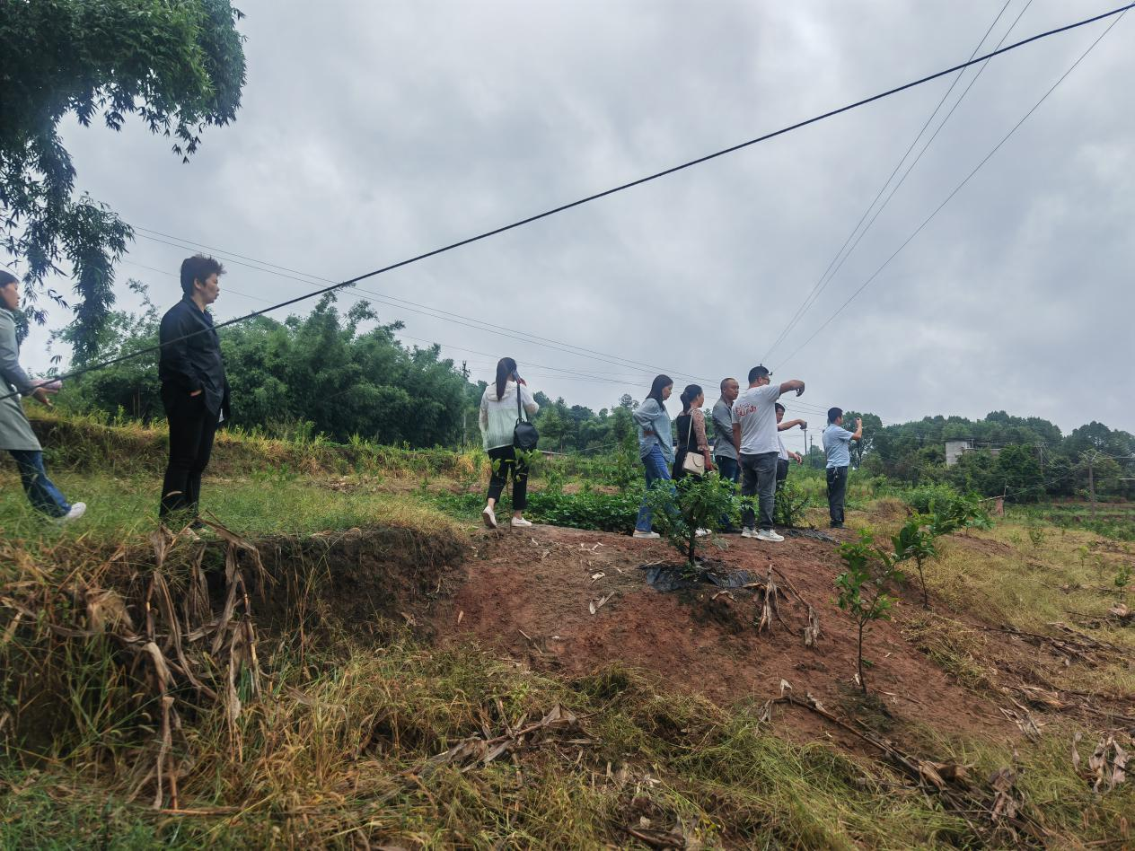 1664850021165255.png 44444444.png