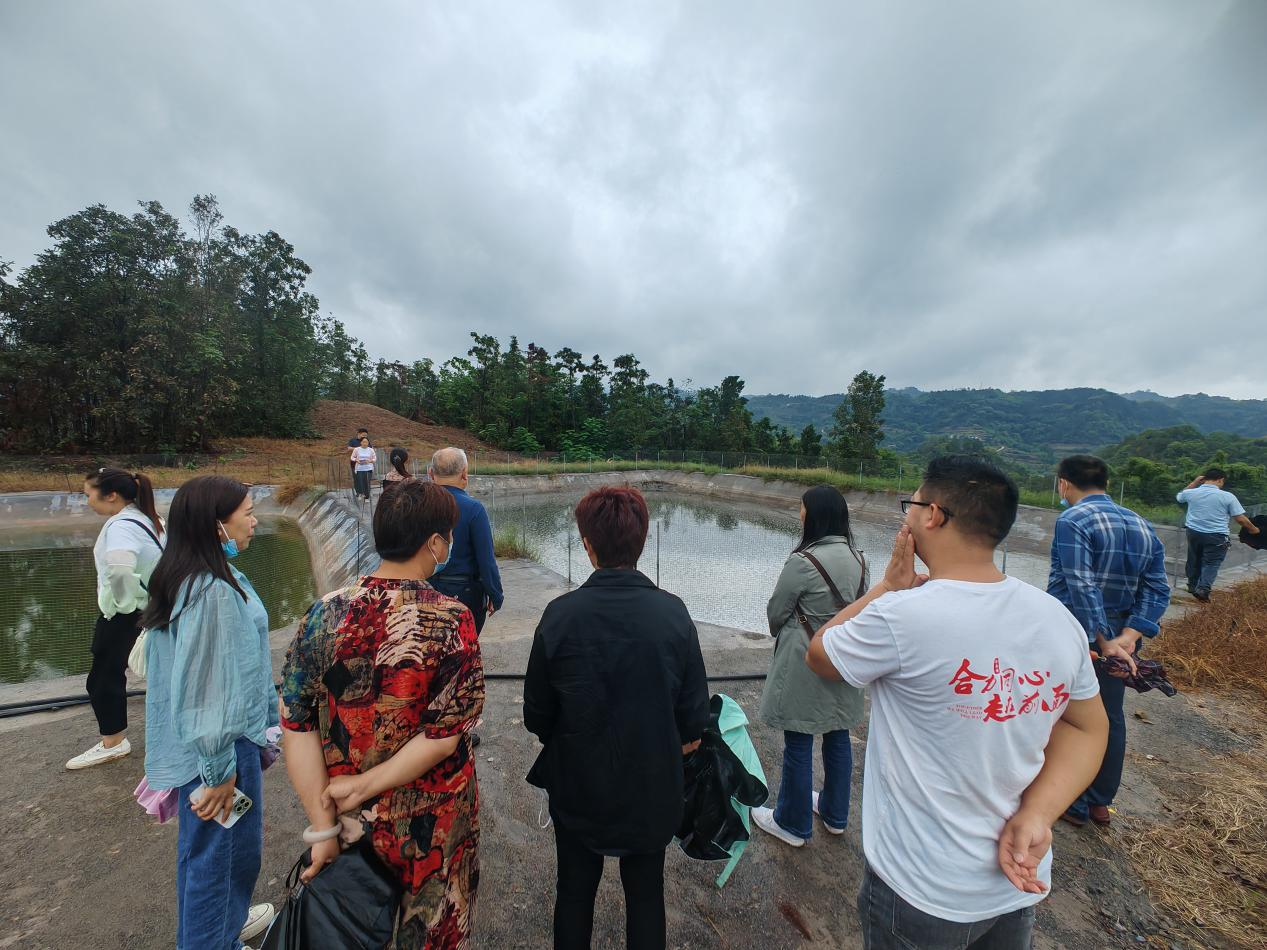 1664850035709212.png 5555555.png